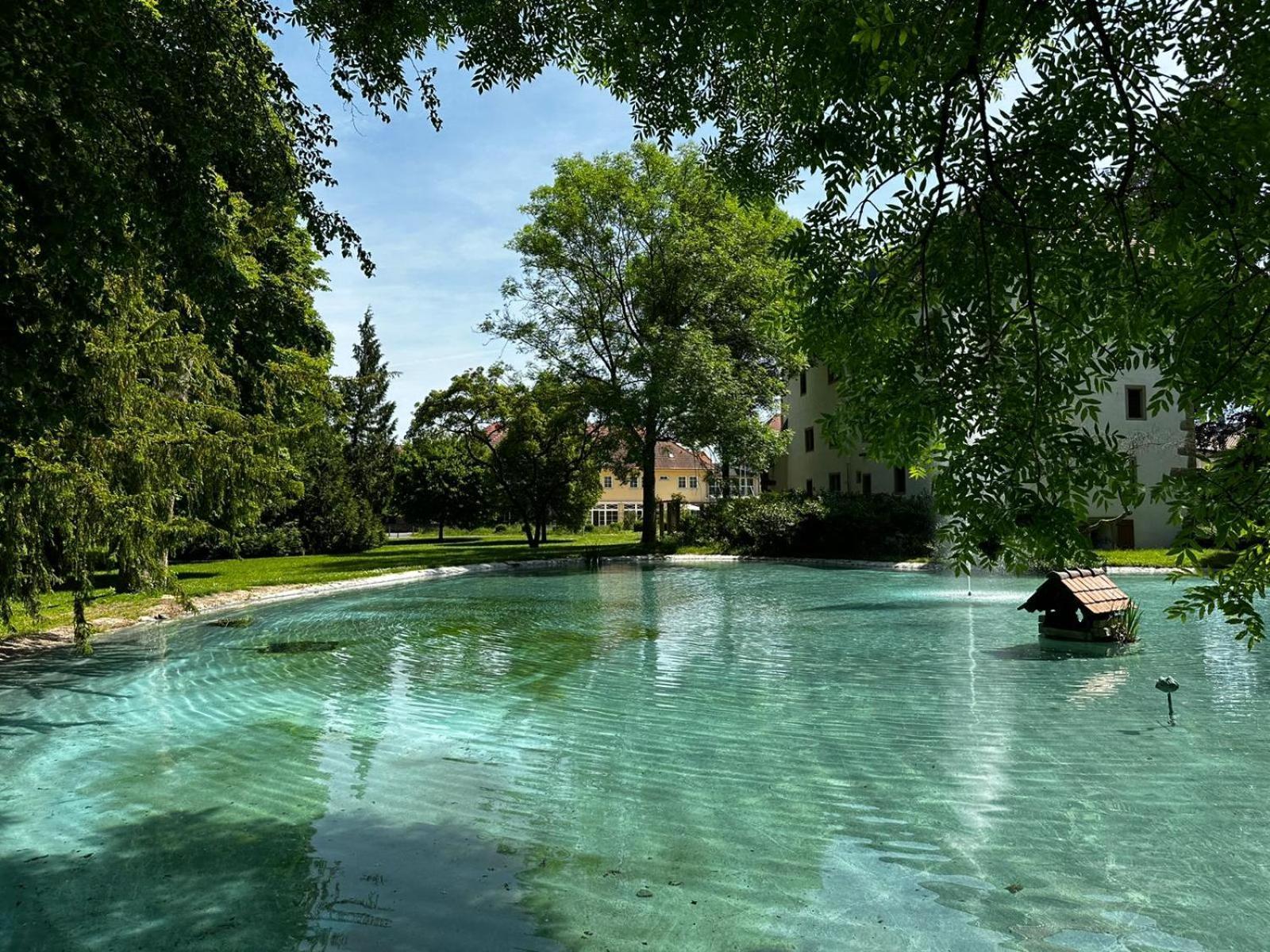 Schloss Neckarbischofsheim Екстер'єр фото